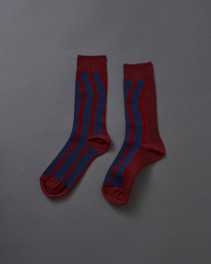 ARC-pattern socks